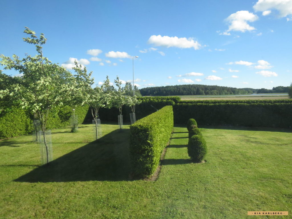 Villa Kia trädgård tuija häck Hirvensalo Åbo